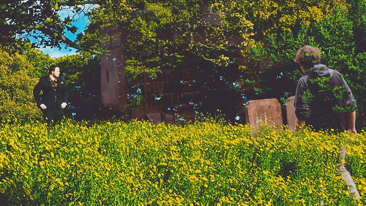 Backdrop image for movie The Resurrection