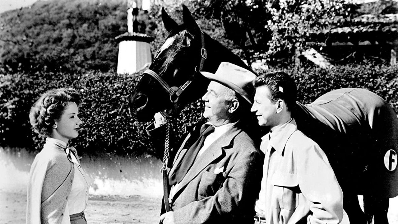 Backdrop image for movie Francis Covers the Big Town