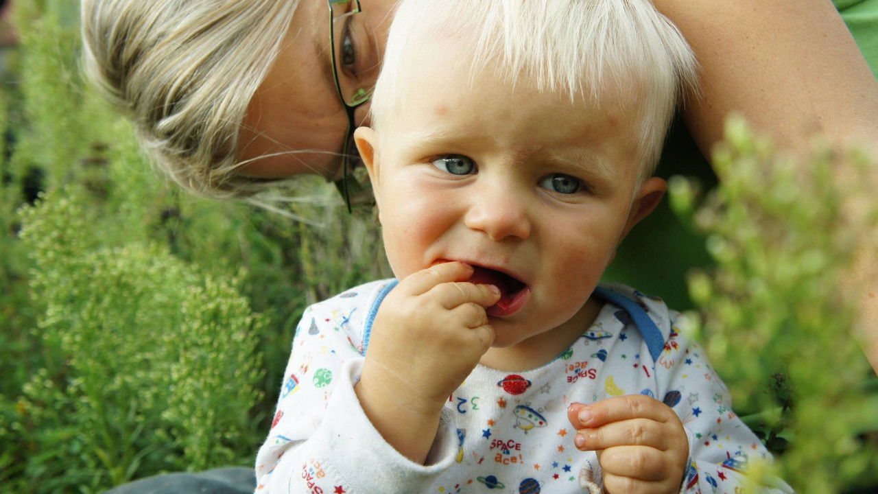 Backdrop image for movie Nerodič
