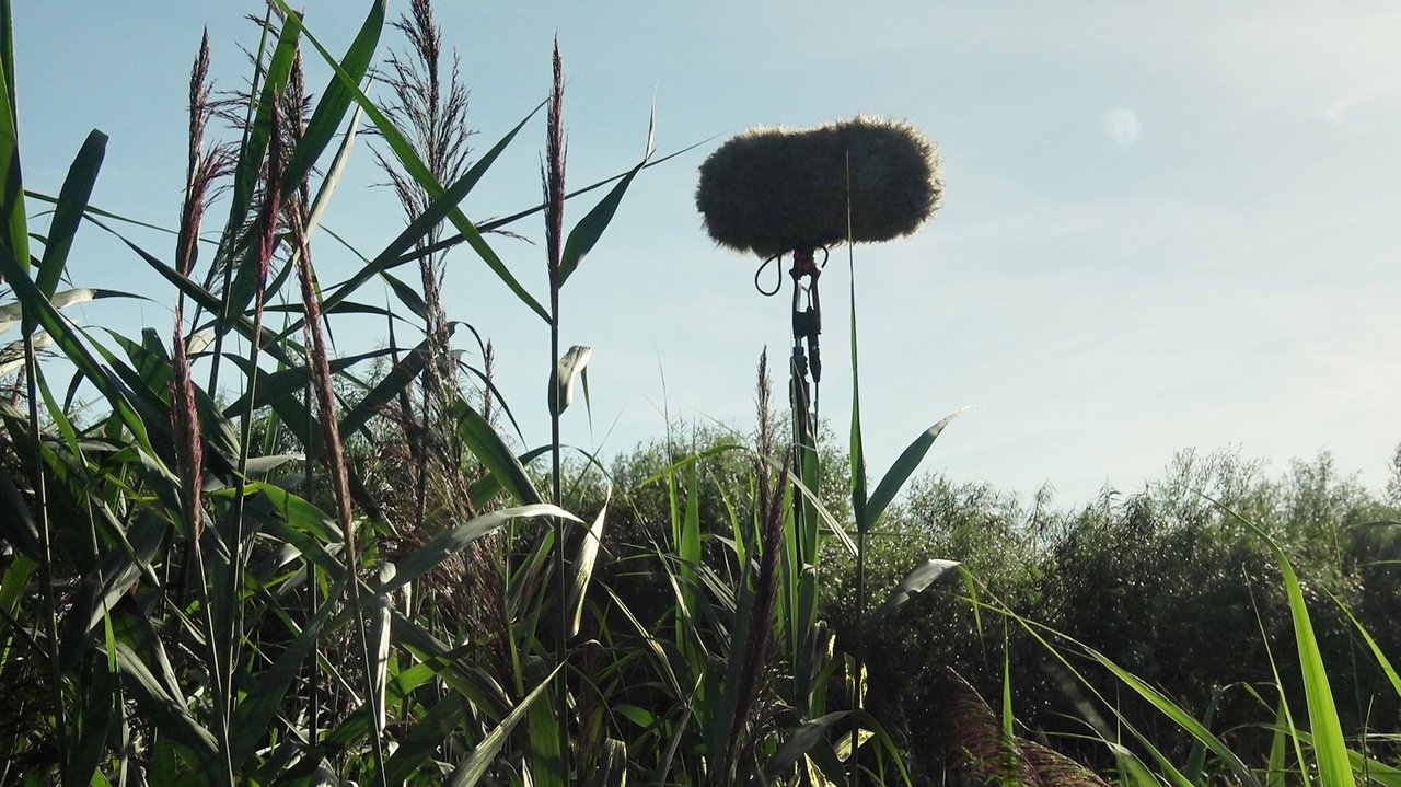 Backdrop image for movie In a Silent Way