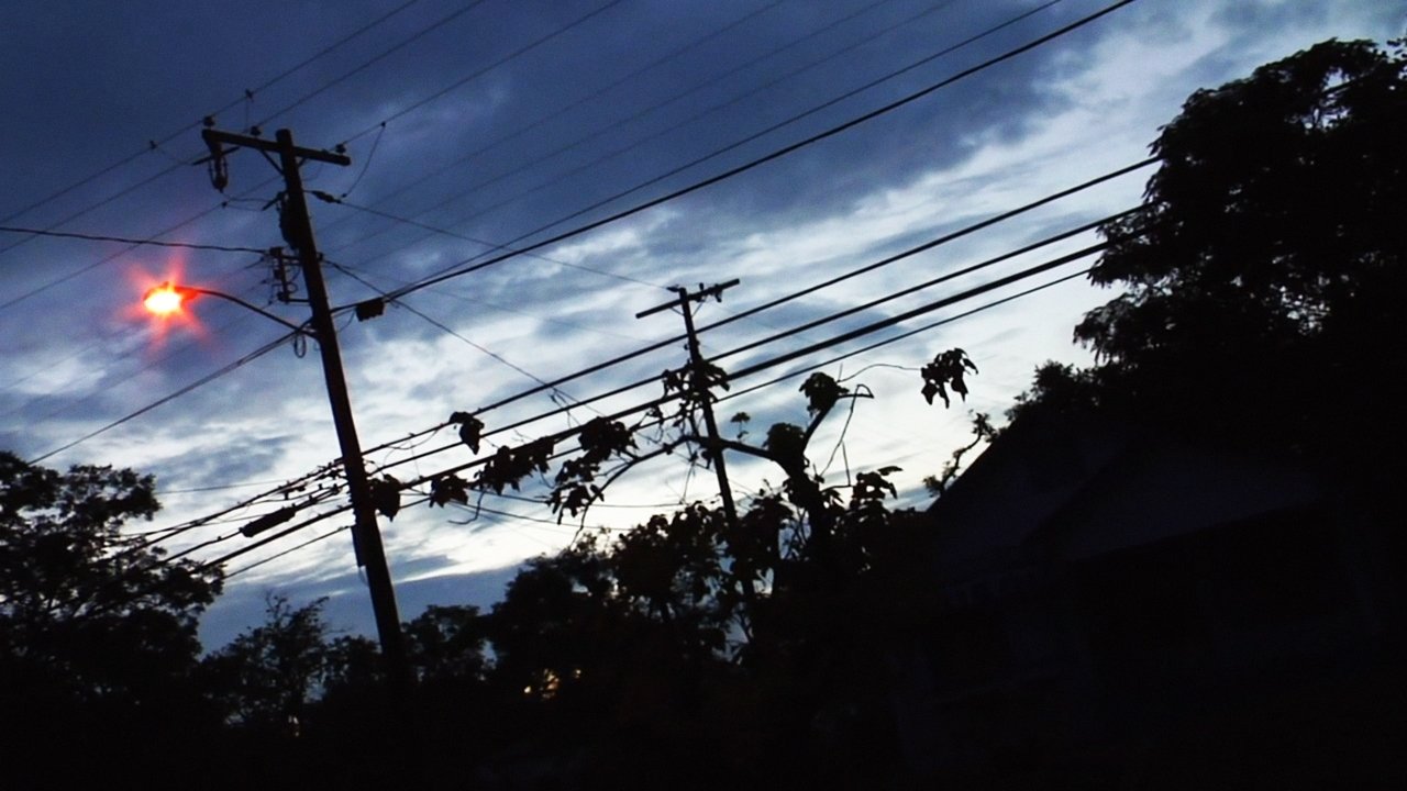 Backdrop image for movie No Ward