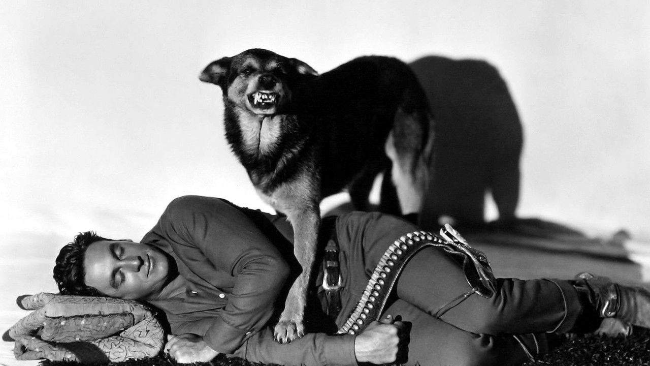 Backdrop image for movie Fair Warning