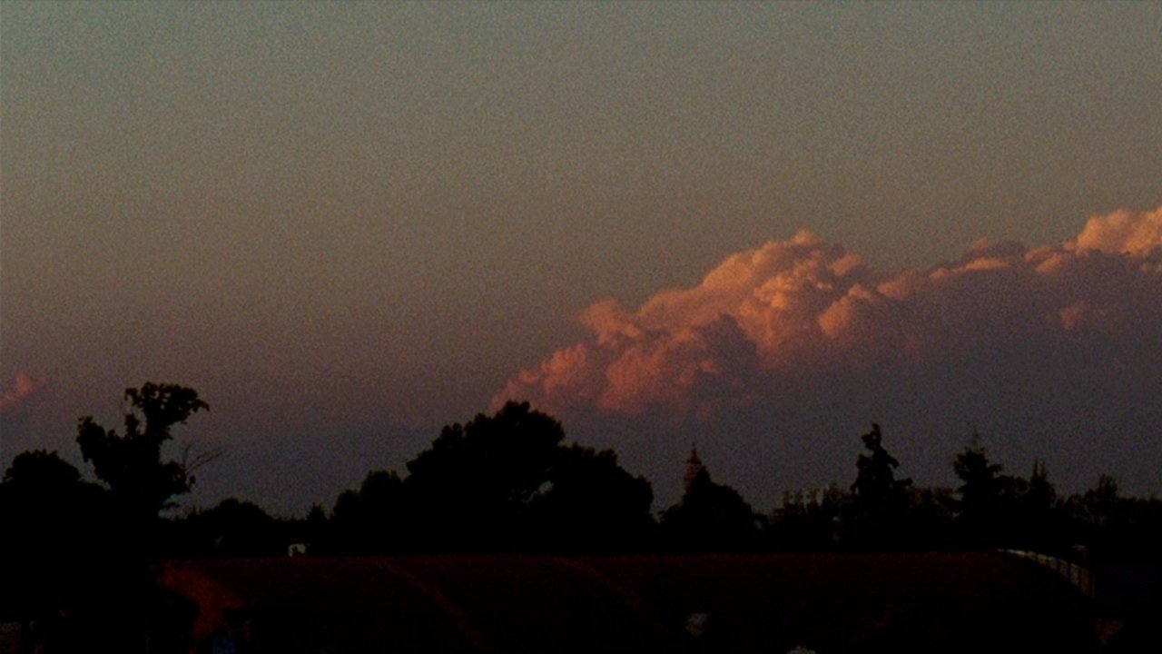 Backdrop image for movie Santa Teresa & Other Stories