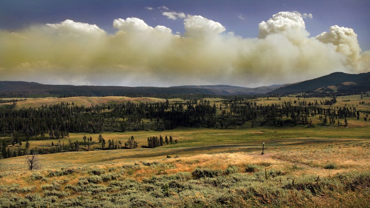 Backdrop image for movie National Parks Exploration Series: Yellowstone