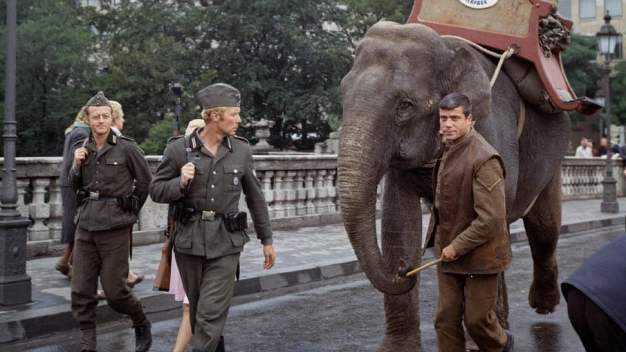 Backdrop image for movie Hannibal Brooks