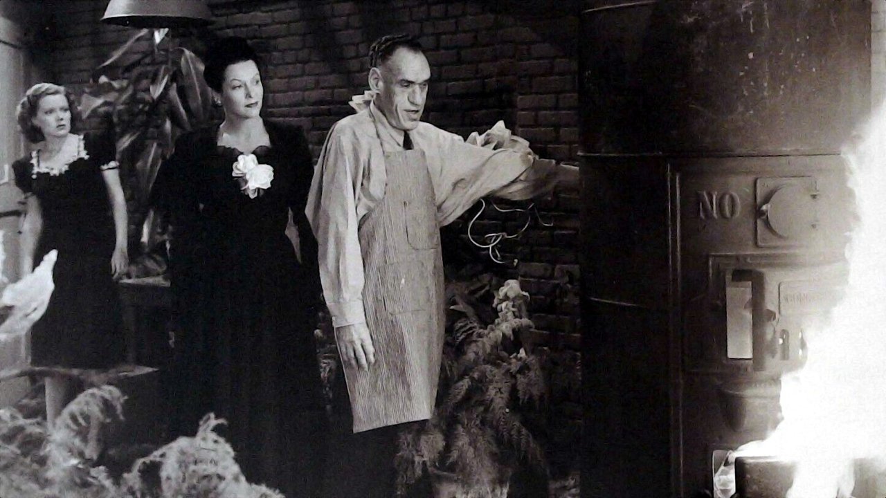 Backdrop image for movie The Spider Woman Strikes Back
