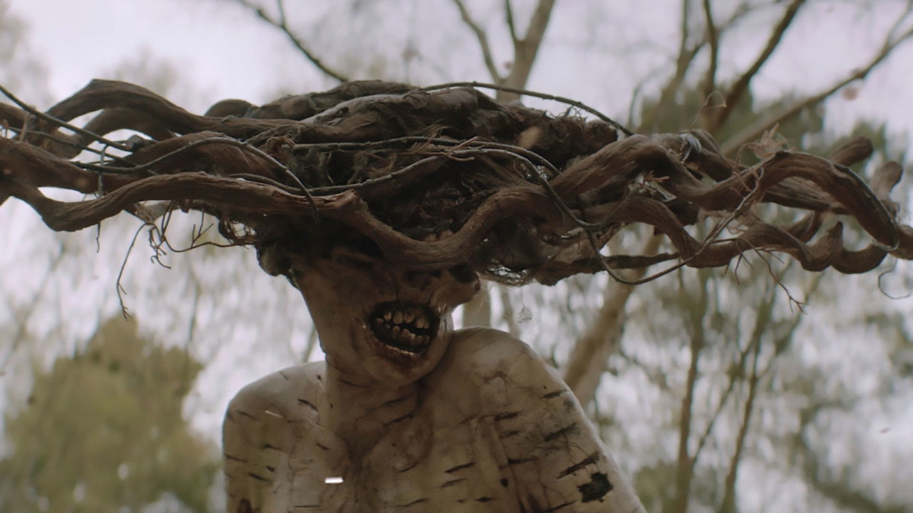 Backdrop image for movie The Birch