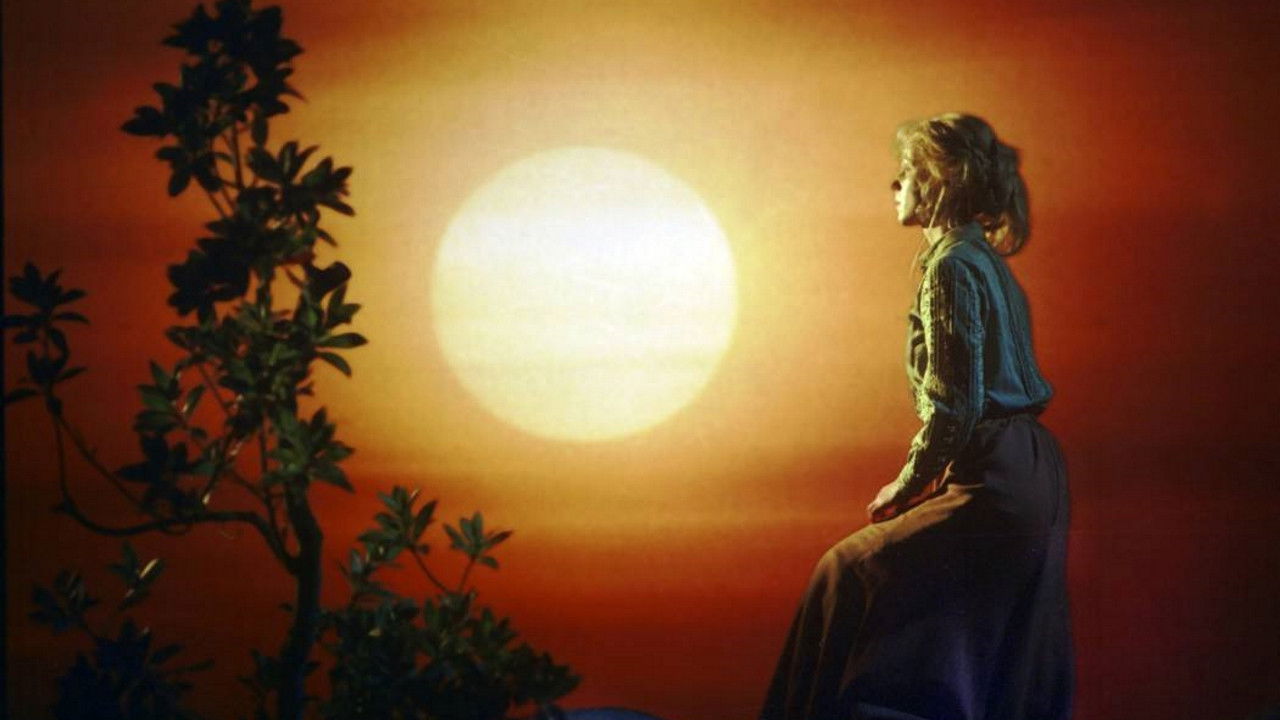 Backdrop image for movie The Prince Beyond the Seven Seas