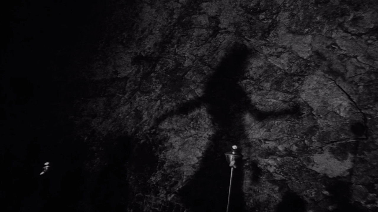 Backdrop image for movie Night Tide