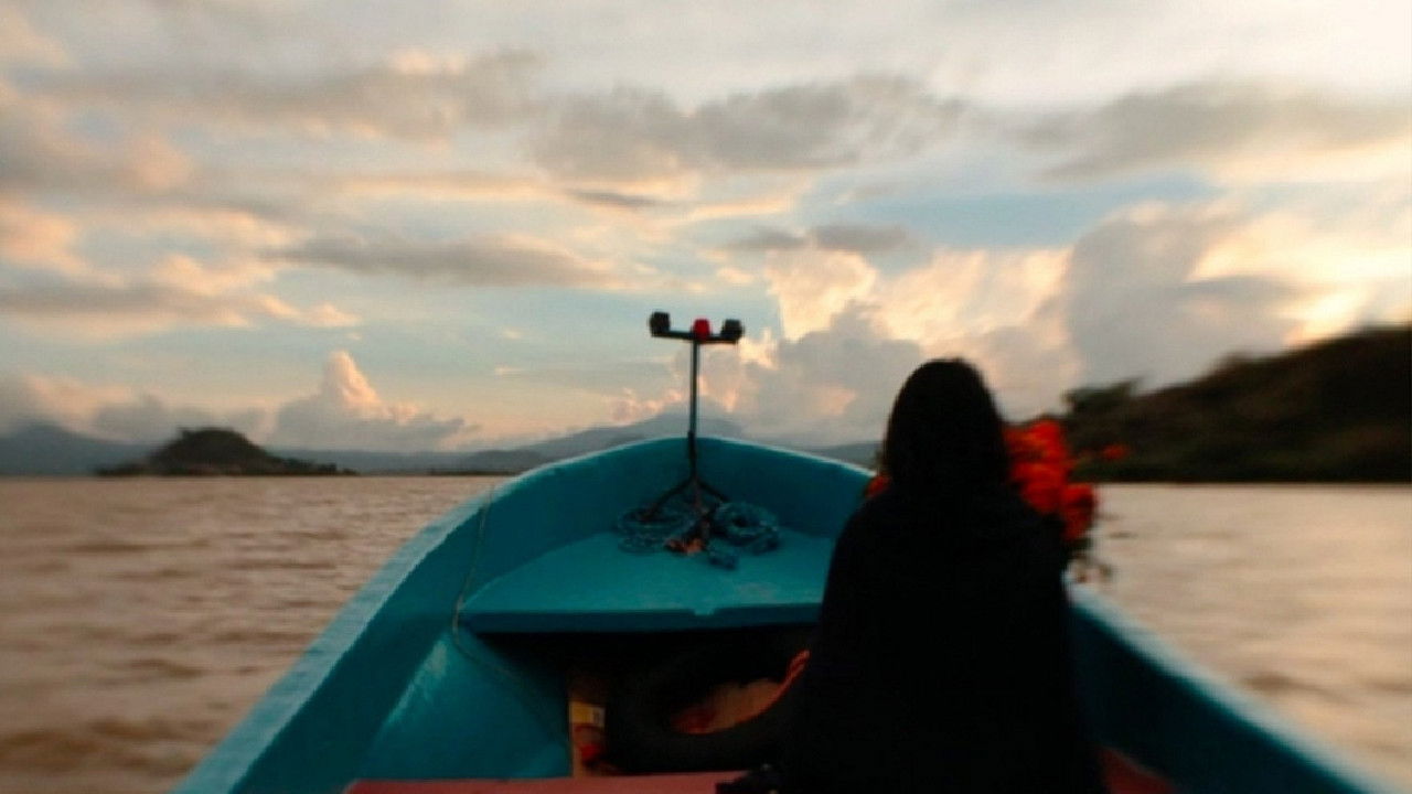 Backdrop image for movie 13 Summers Underwater