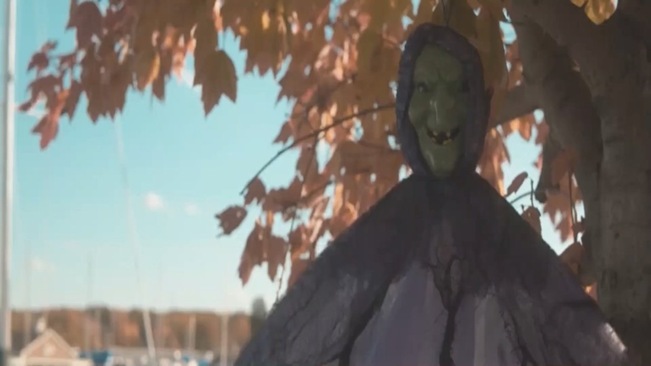 Backdrop image for movie SlashFM