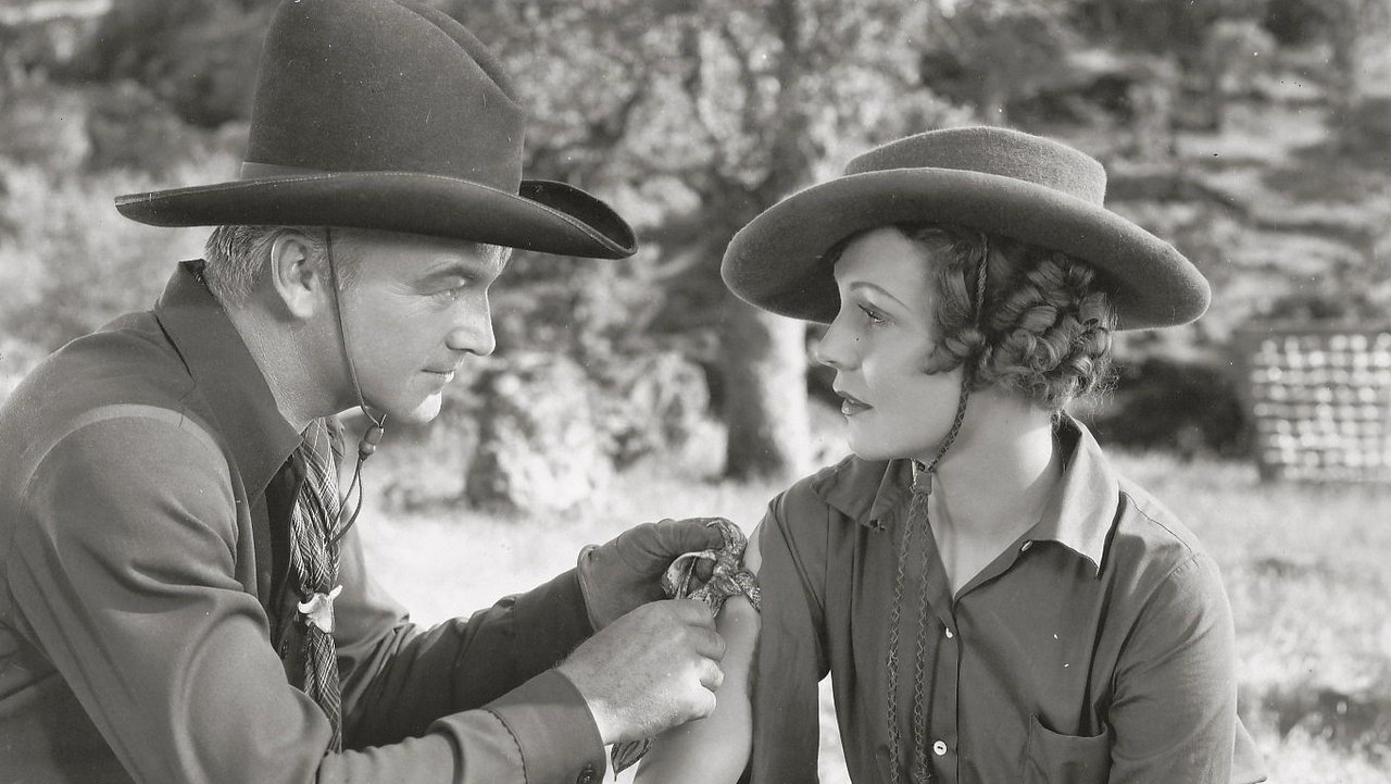 Backdrop image for movie Rustlers' Valley