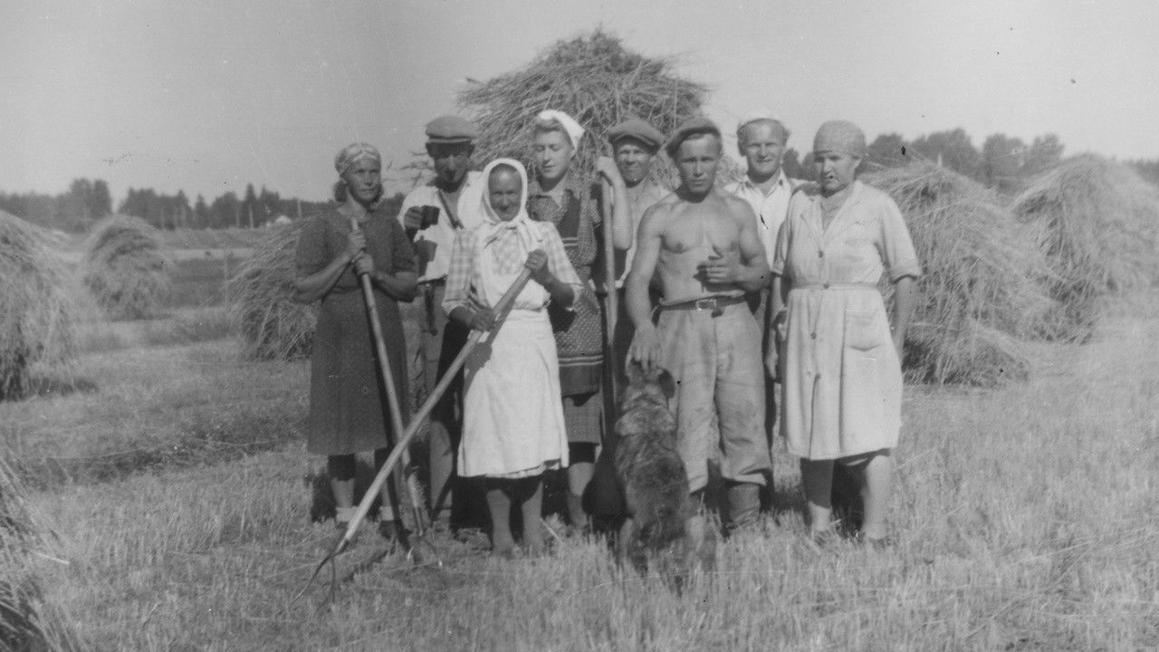 Backdrop image for movie The Unknown Woman