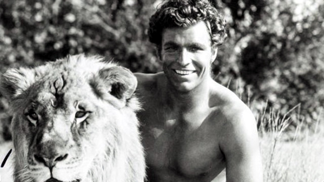 Backdrop image for movie Tarzan the Fearless