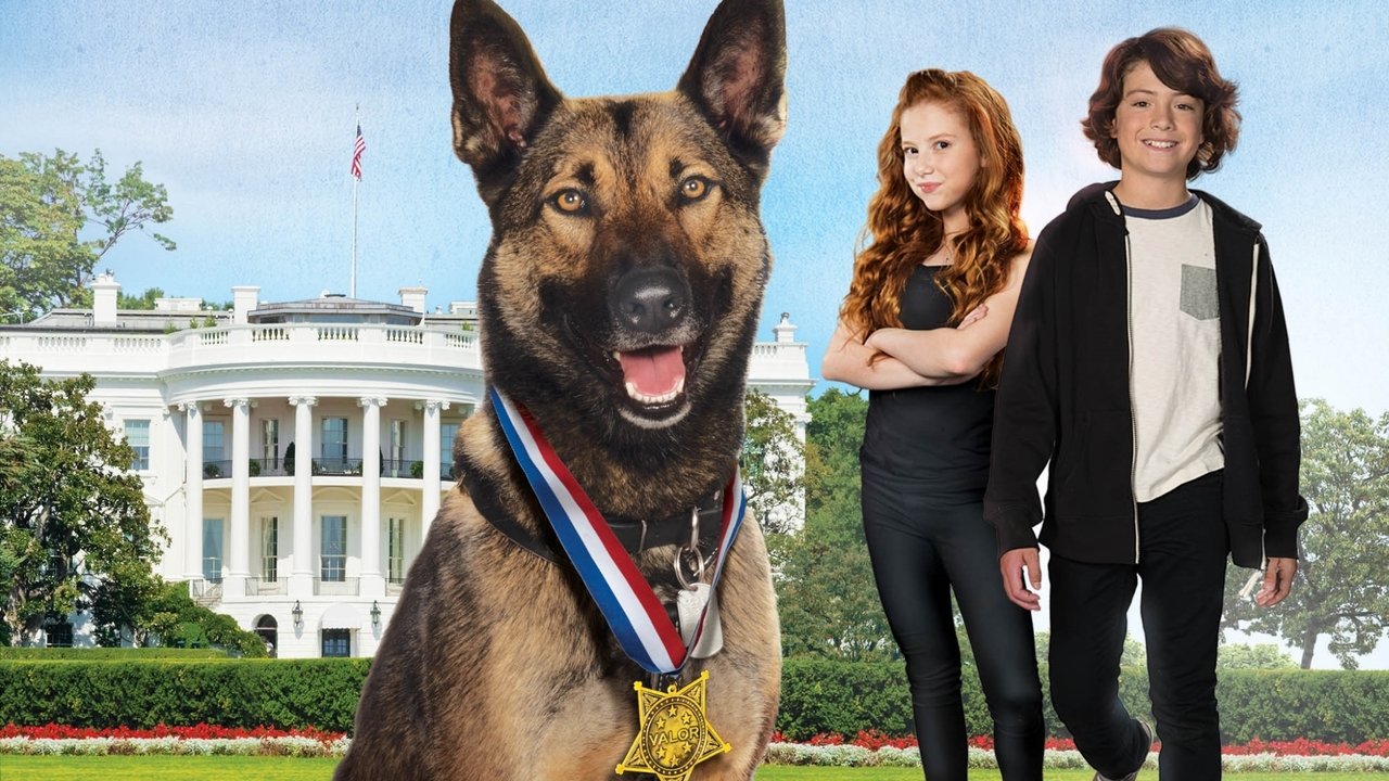 Backdrop image for movie Max 2: White House Hero