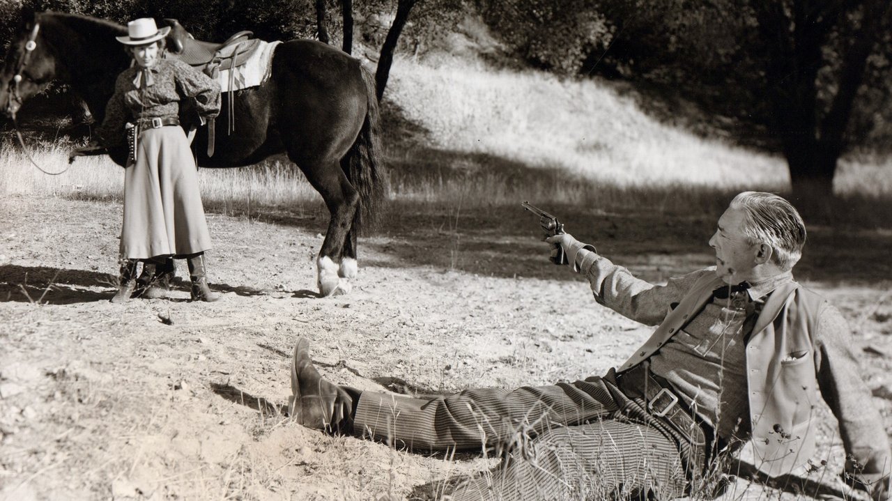 Backdrop image for movie Gun Runner