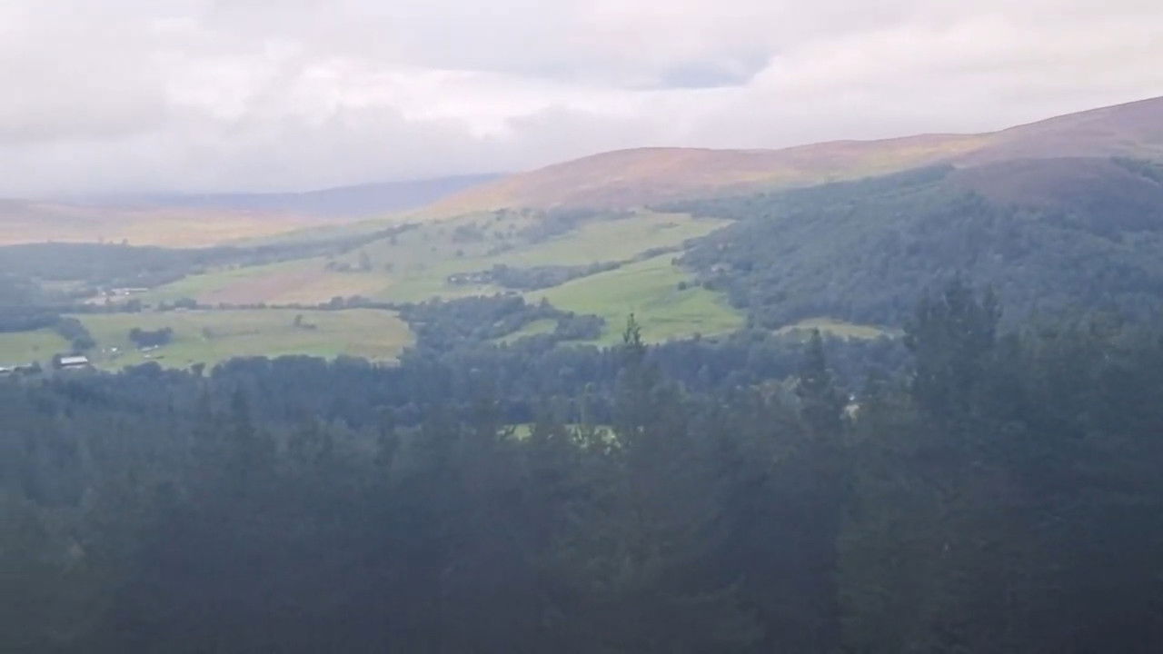 Backdrop image for movie Green