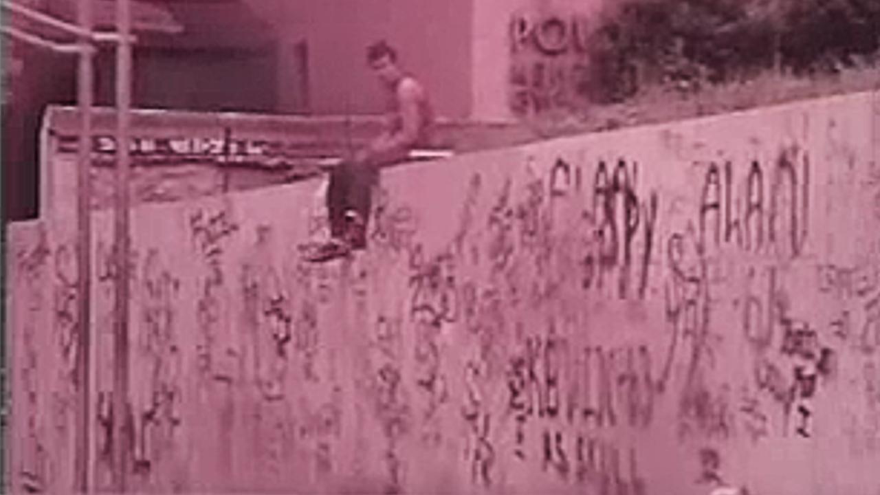 Backdrop image for movie The Vandals