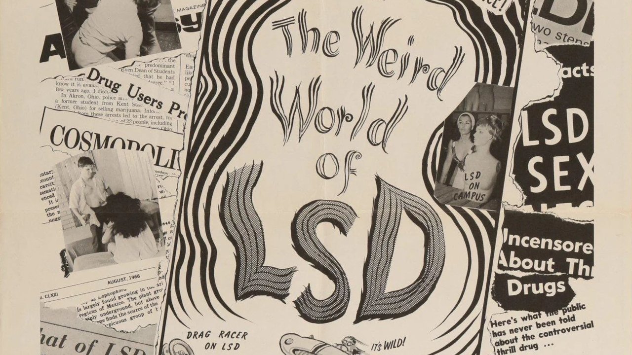 Backdrop image for movie The Weird World of LSD