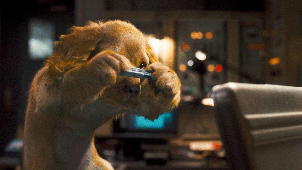 Backdrop image for movie Cats & Dogs: The Revenge of Kitty Galore