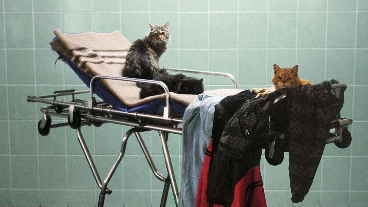 Backdrop image for movie The Death of Mr. Lazarescu