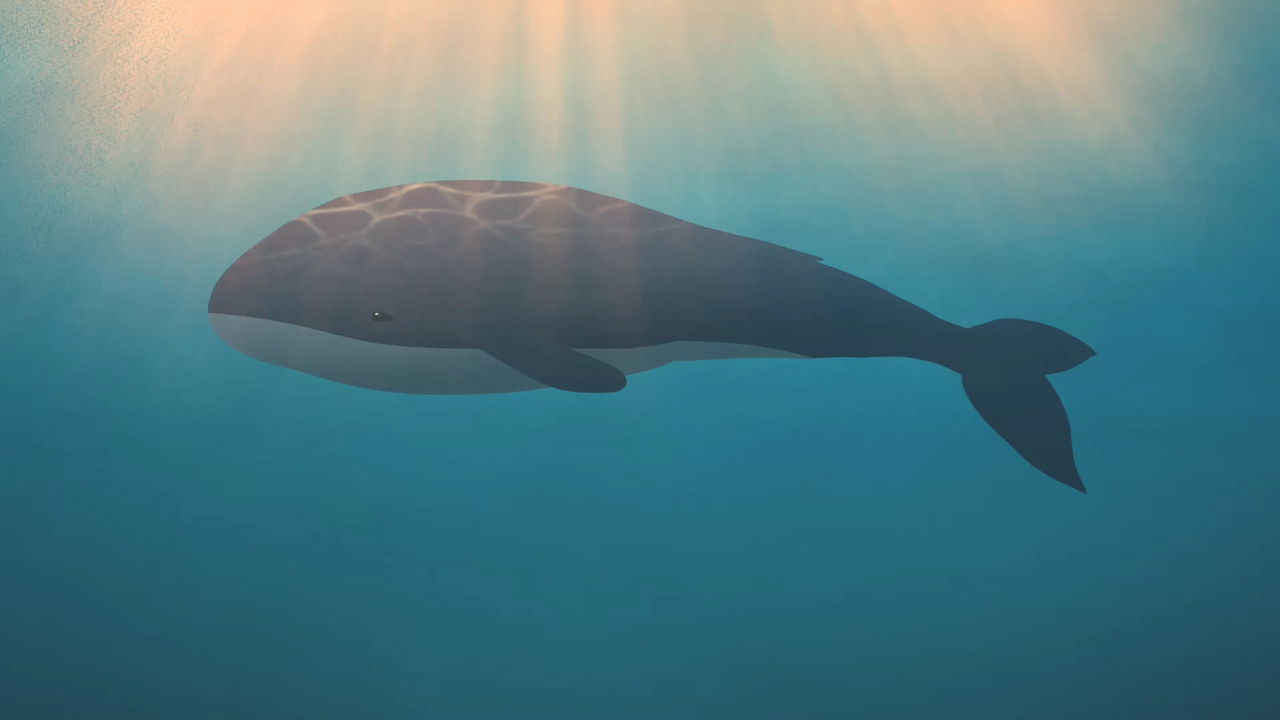 Backdrop image for movie CITSALP