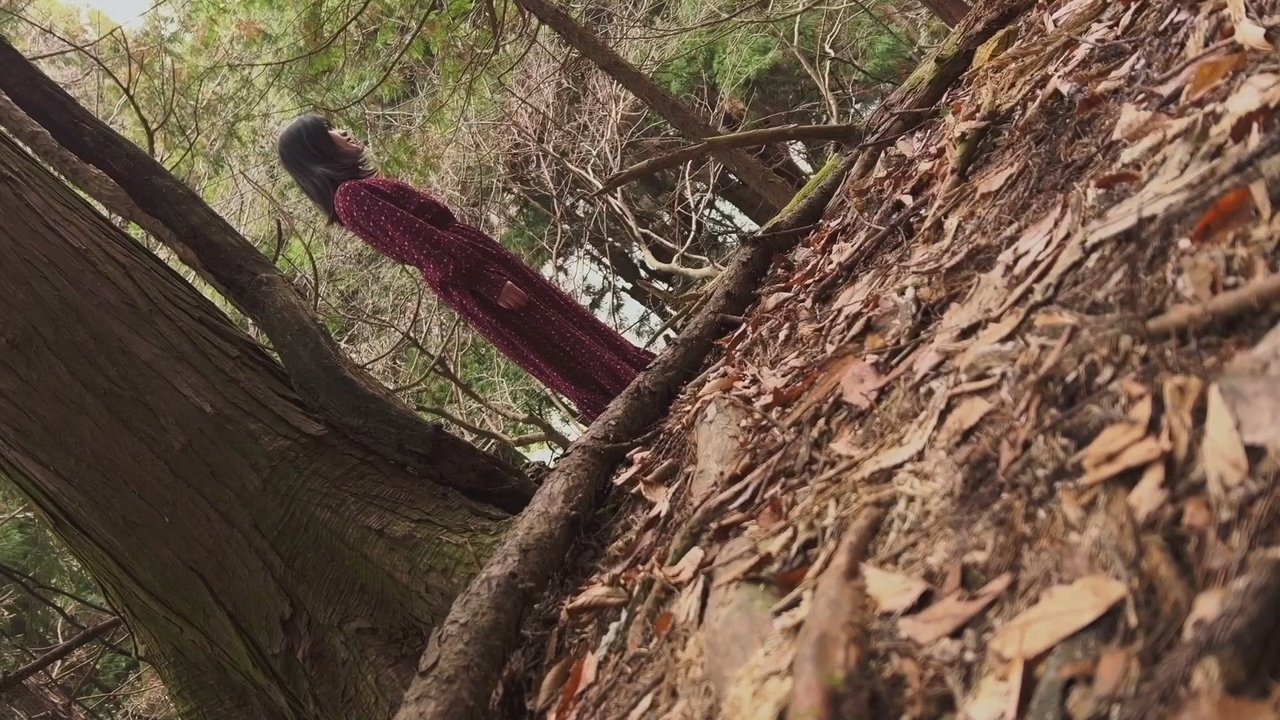 Backdrop image for movie Koji Shiraishi's Never Send Me, Please