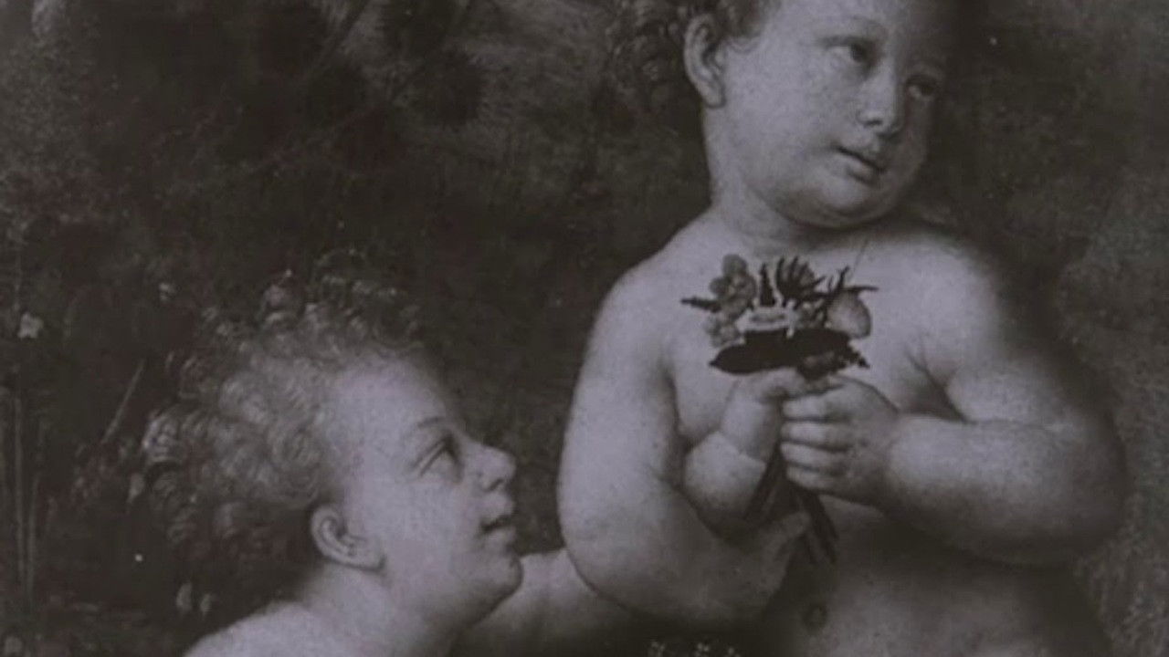 Backdrop image for movie Leonardo Da Vinci The Tragic Pursuit of Perfection