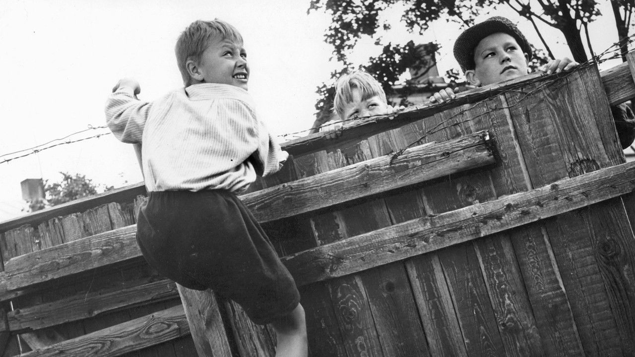 Backdrop image for movie Pikku Pietarin piha