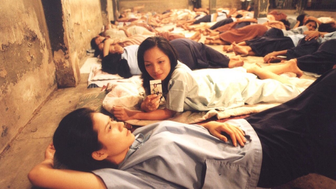 Backdrop image for movie Butterfly in Grey