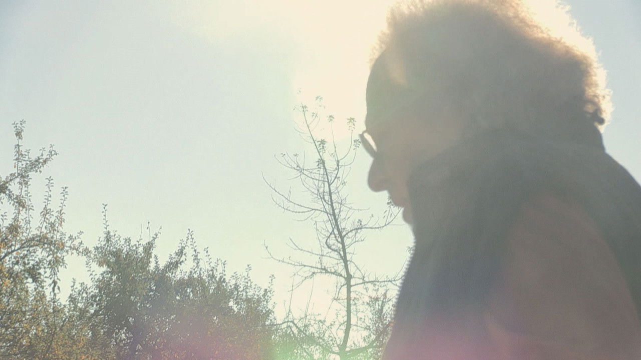 Backdrop image for movie W. - What Remains of the Lie