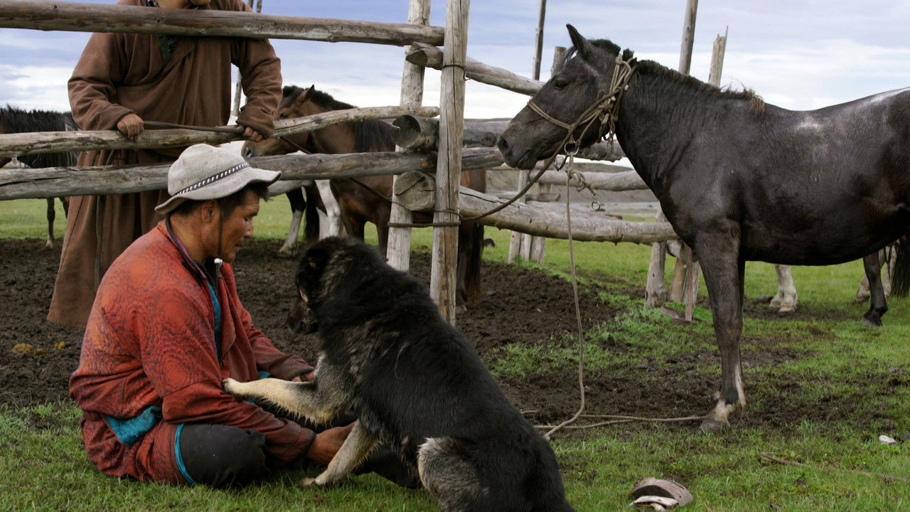 Backdrop image for movie The Bounty Hunter of Mongolia