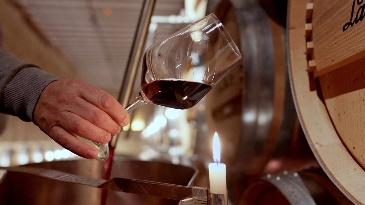 Backdrop image for movie Rioja: The Land of a Thousand Wines