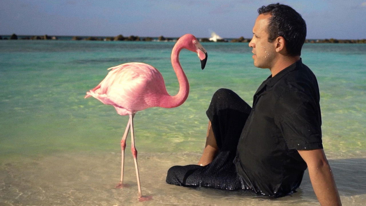 Backdrop image for movie The Mystery of the Pink Flamingo