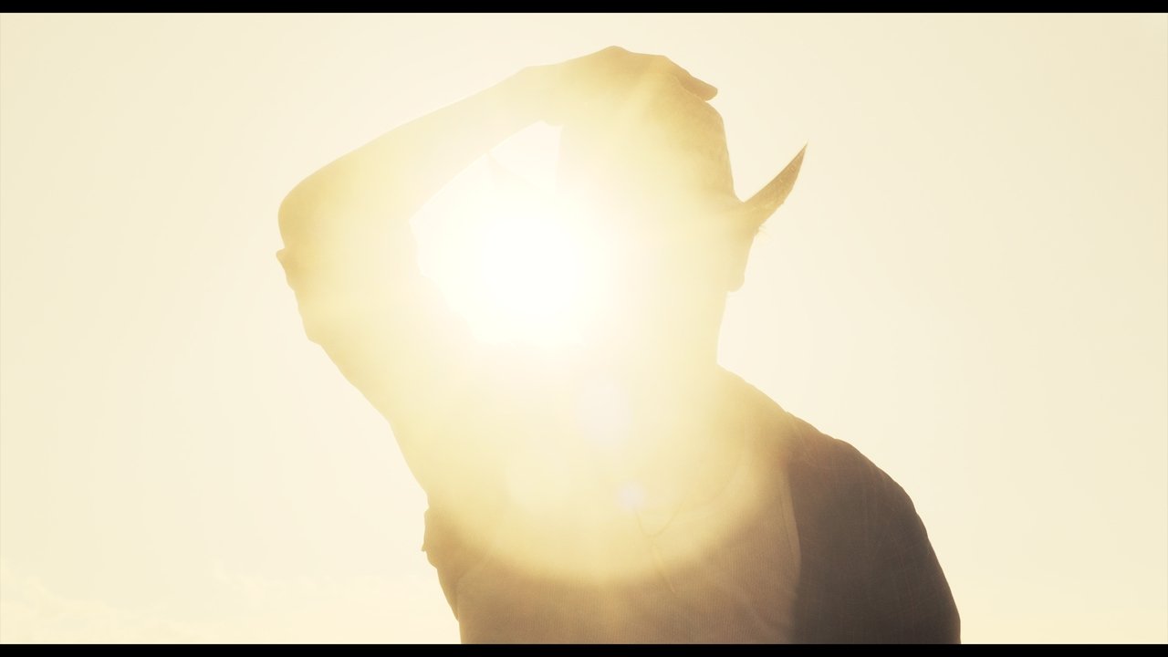 Backdrop image for movie Coyote