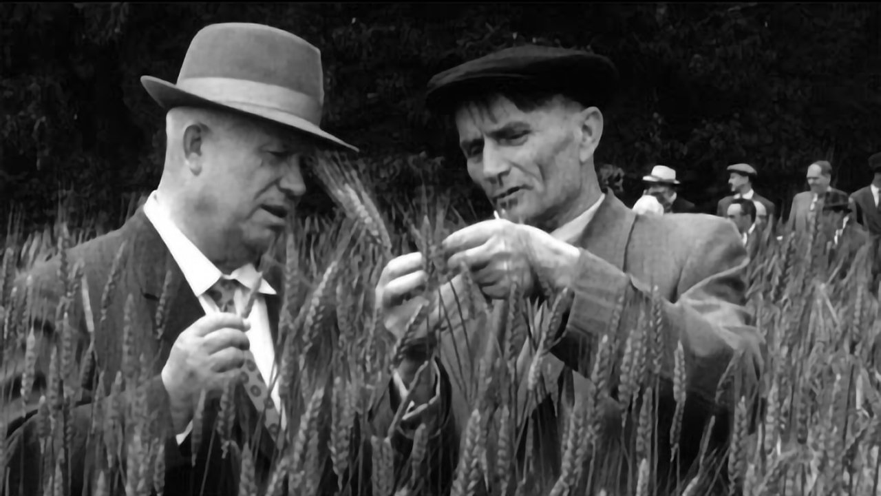 Backdrop image for movie The Scientist, The Imposter and Stalin: How to Feed the People