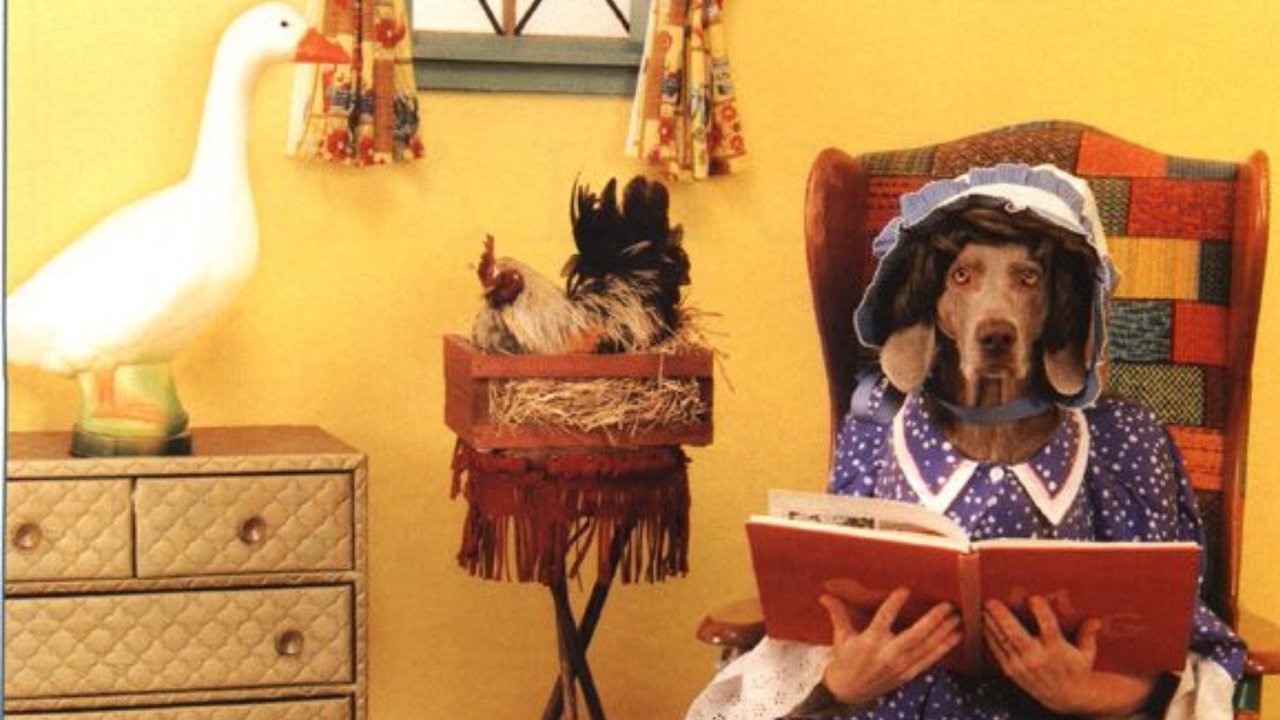 Backdrop image for movie William Wegman's Mother Goose