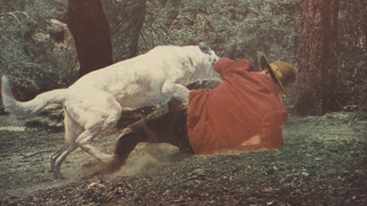 Backdrop image for movie Yukon Gold