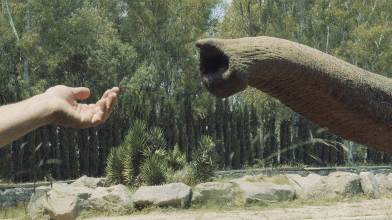 Backdrop image for movie Forms of Forgetting