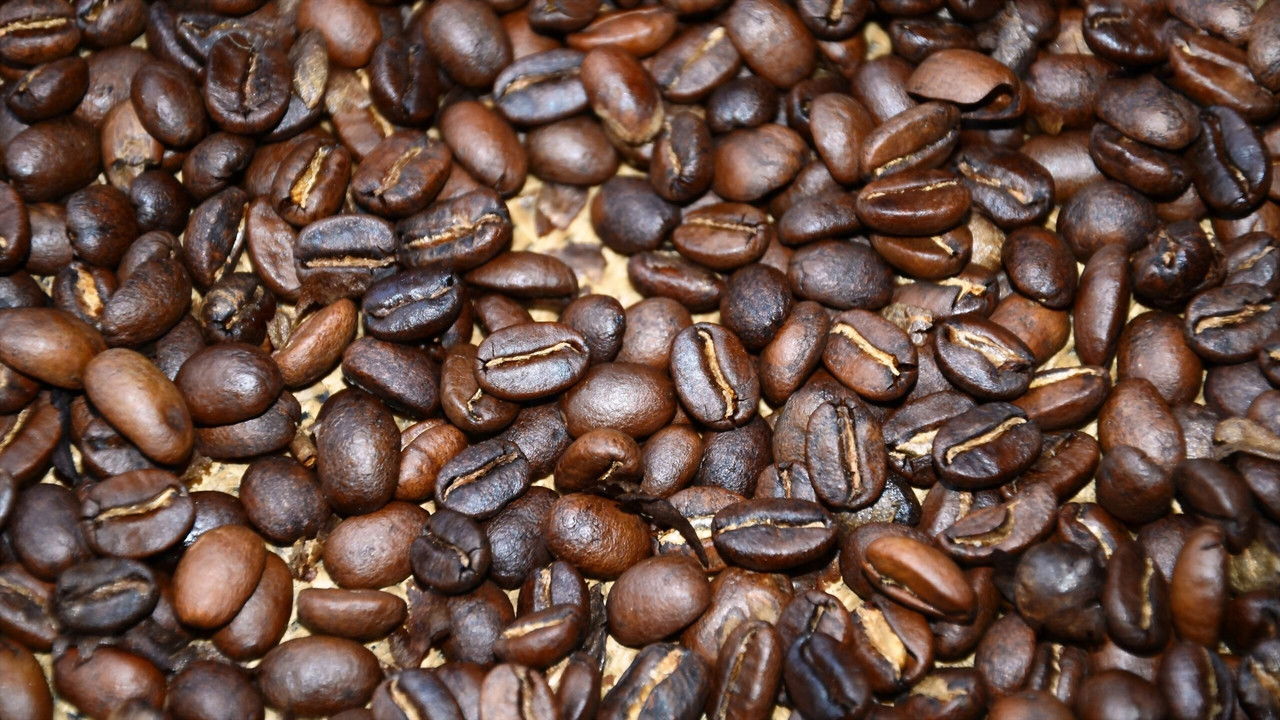 Backdrop image for movie Black Gold