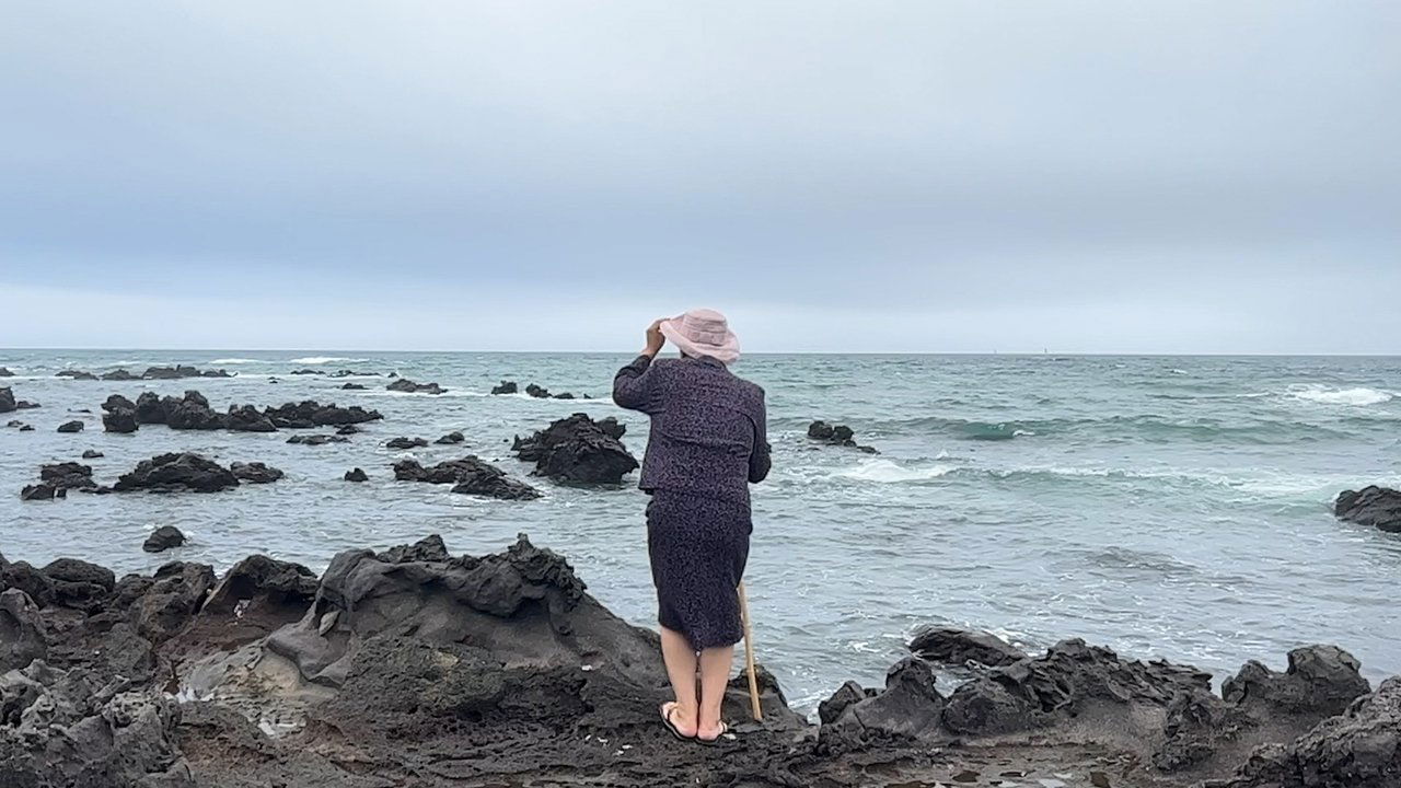Backdrop image for movie Memories Showers Seas