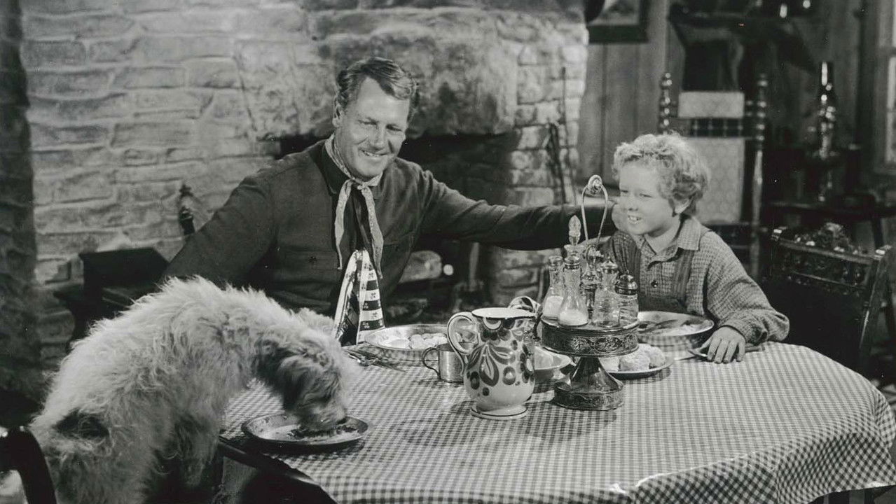 Backdrop image for movie The Lone Hand