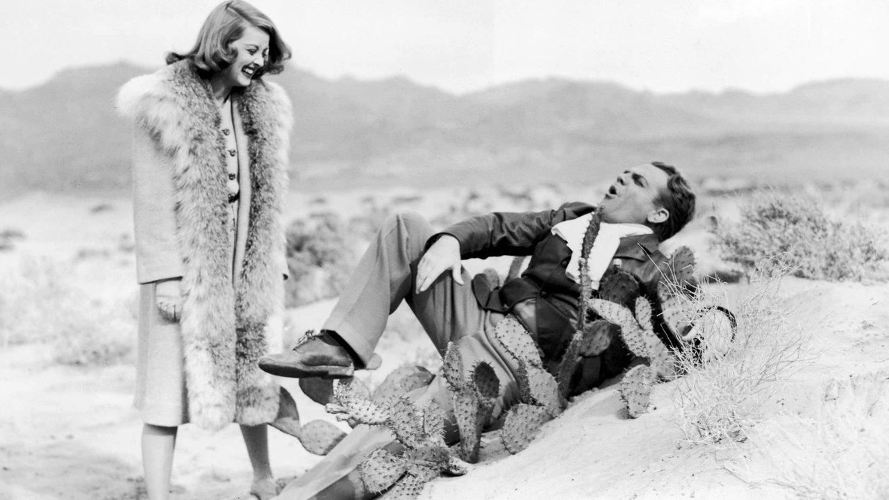 Backdrop image for movie The Bride Came C.O.D.