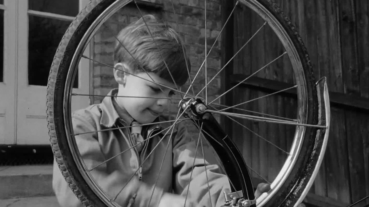 Backdrop image for movie Riding on Air