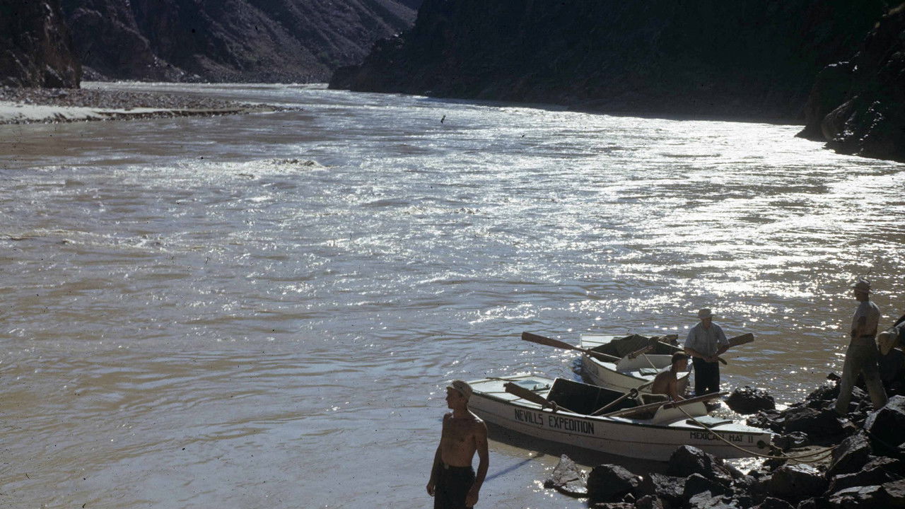 Backdrop image for movie Facing Your Danger