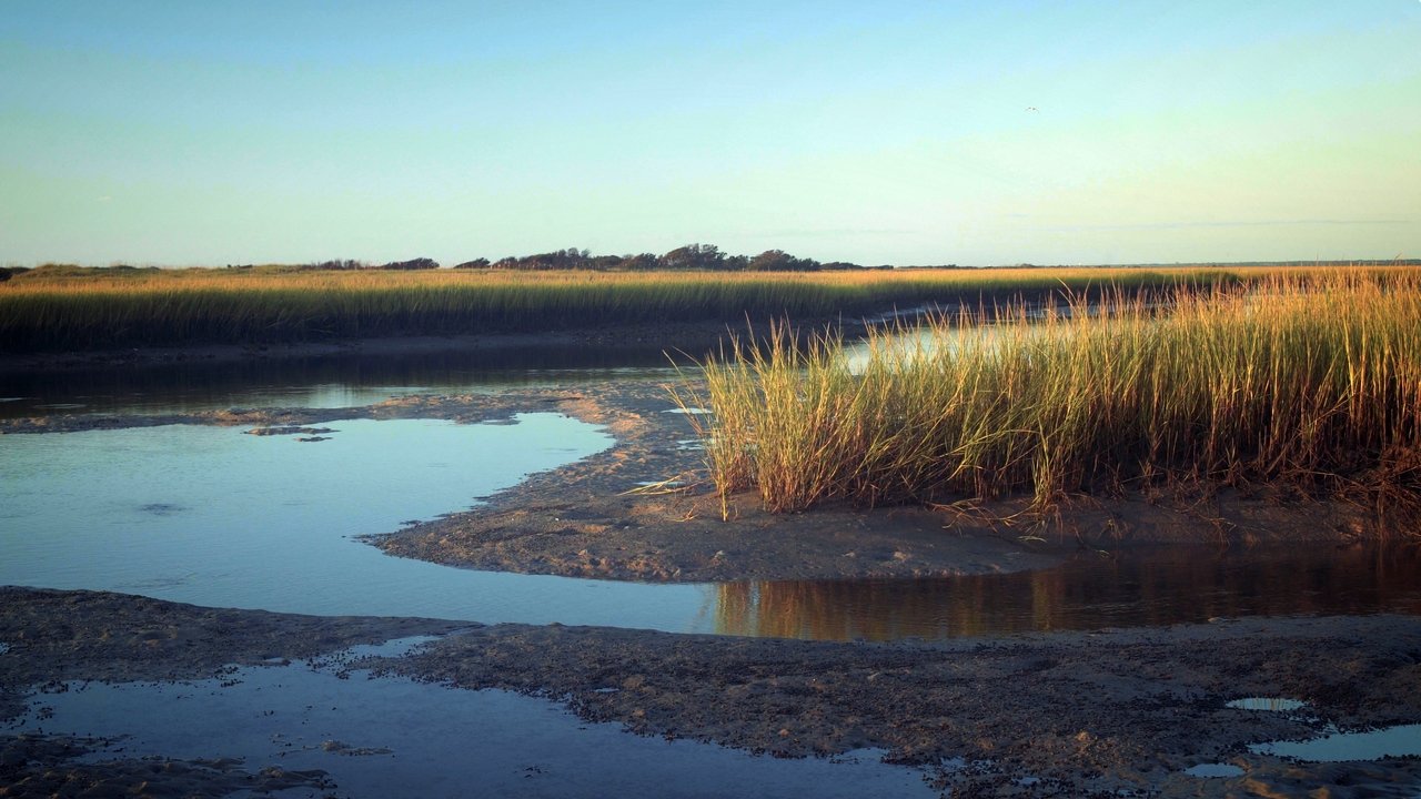 Backdrop image for movie Tides
