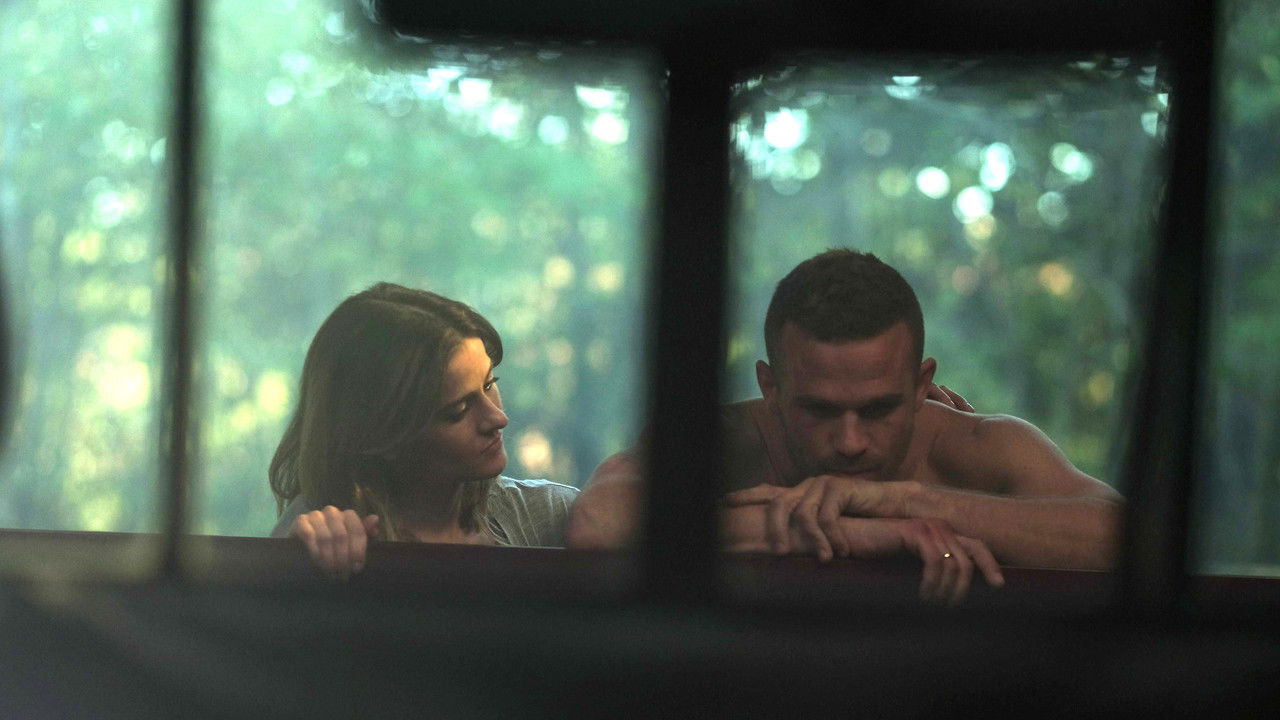 Backdrop image for movie The Shadow Effect