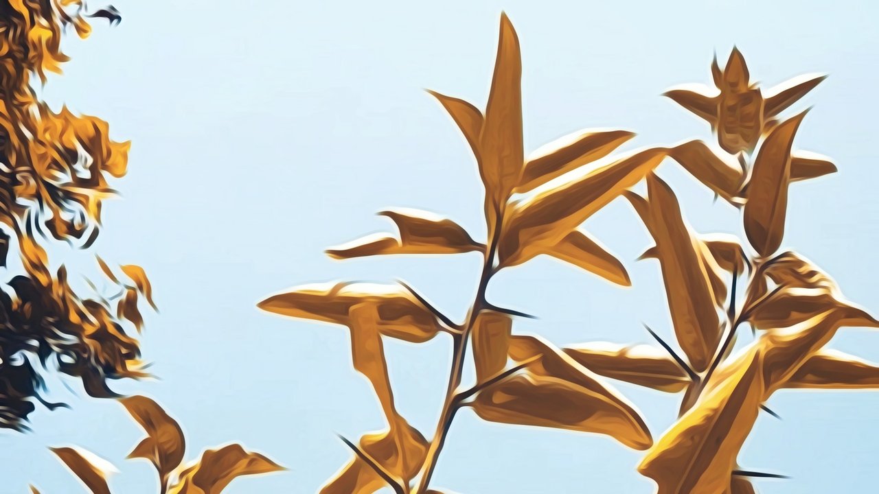Backdrop image for movie Now that Summer is Gone...