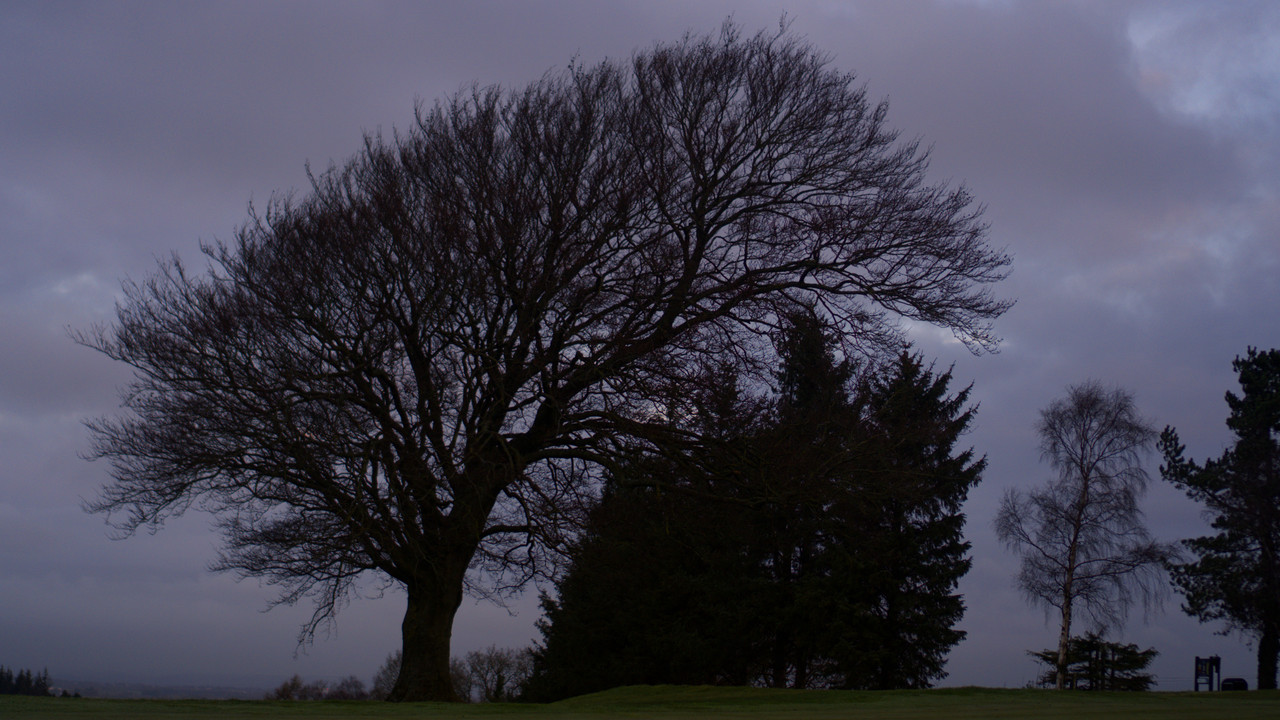 Backdrop image for movie They're All Painted If You Actually Look