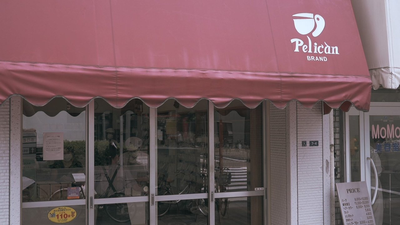 Backdrop image for movie Pelican: 74 Years of Japanese Tradition